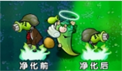 植物大战僵尸杂交版星光闪卡净化辣椒全面解析