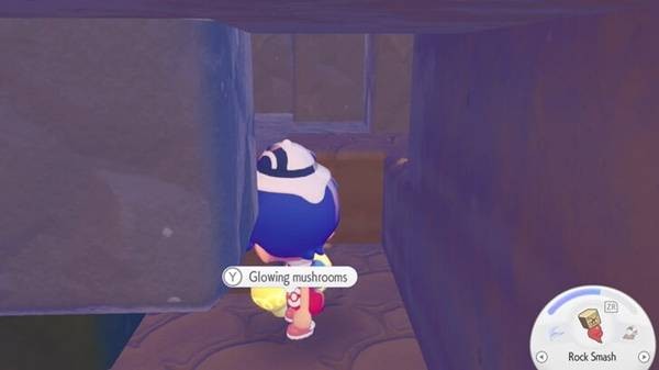 宝可梦Pokopia栖息地亮度调节方法