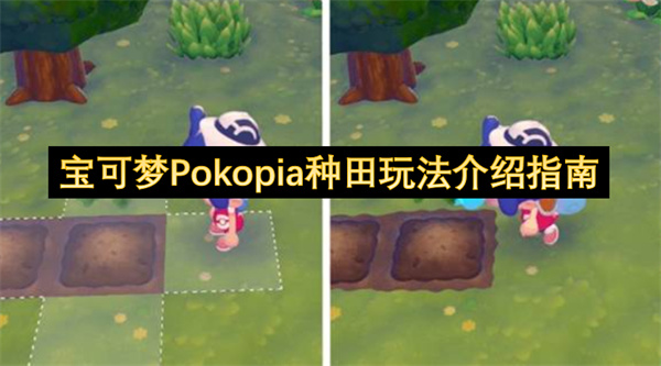 宝可梦Pokopia种田玩法介绍指南