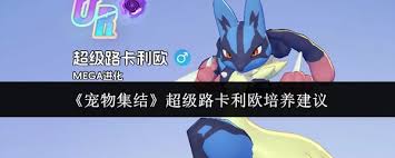 宠物集结超级路卡利欧是否值得培养