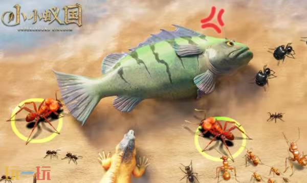 小小蚁国官网首页入口在哪-小小蚁国官网首页入口直达