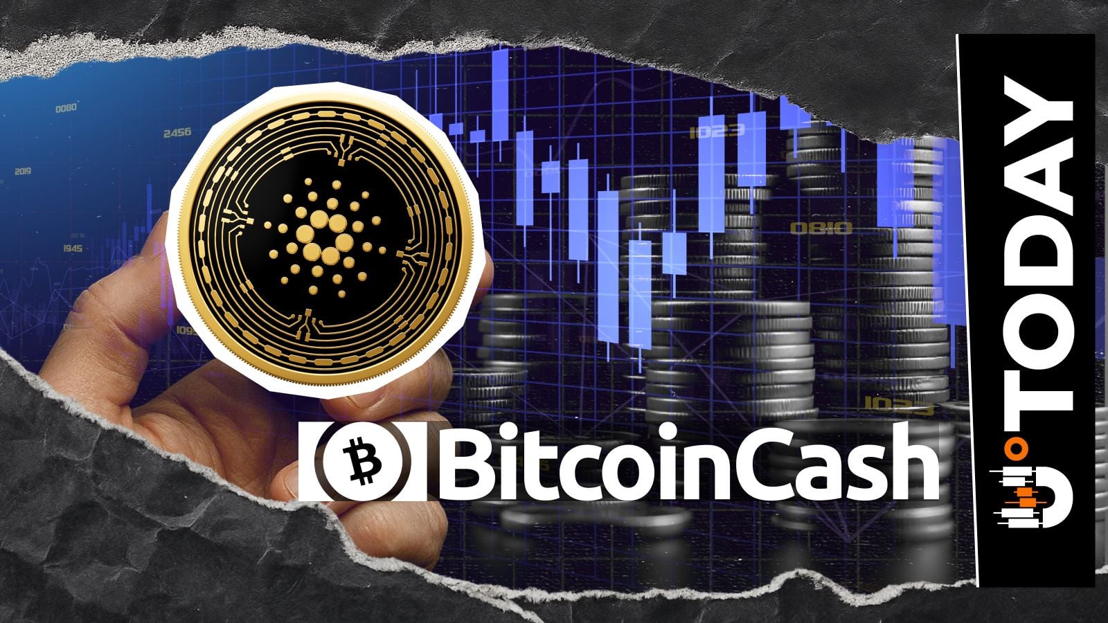 卡尔达诺（ADA）取代比特币现金成为价格小幅反弹的领头羊