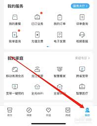 订单查询方法-个人订单查看技巧