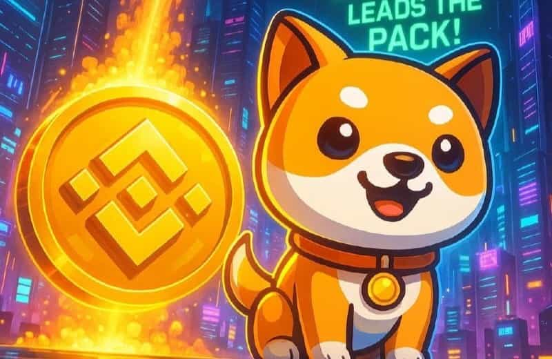 币安网页版登录教程-币安web3入口解析