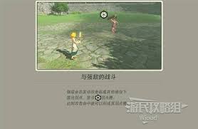 塞尔达无双封印战记新手怎么入门