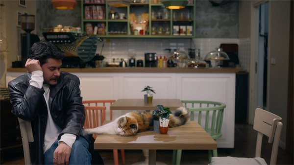 Beta Kafe Write Your Love Story第三章全流程攻略