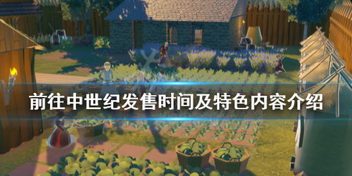 前往中世纪如何节省仓库空间