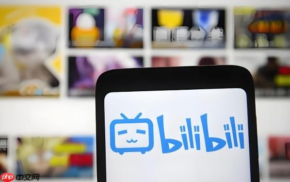 bilibili网页版直达-B站官网最新访问入口