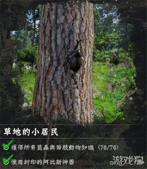 红色沙漠挑战任务蝴蝶收集攻略-如何收集蝴蝶