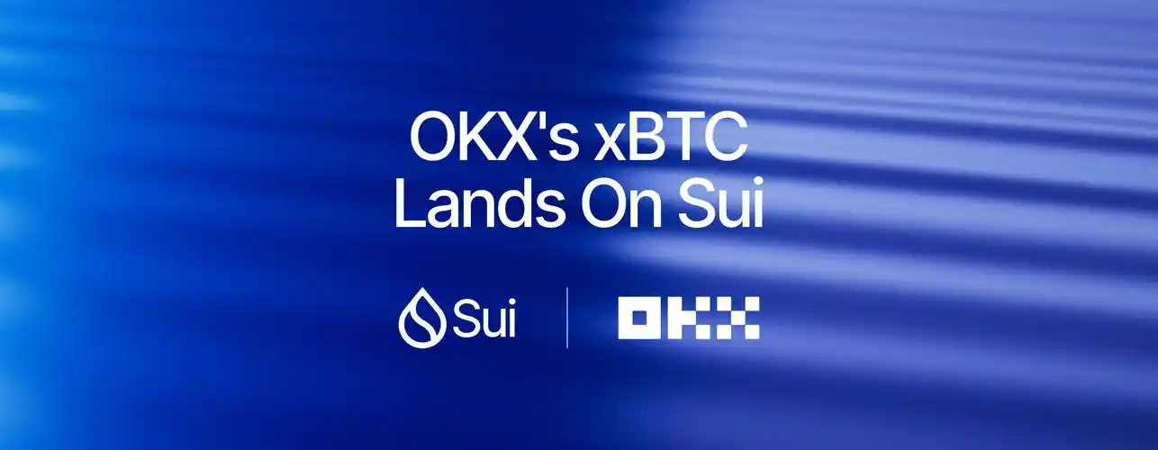 OKX平台终极手册-从下载到安全操作全流程指南