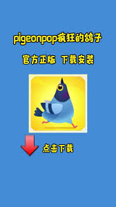 在哪玩疯狂的鸽子