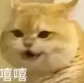 杀同伴才能过关？解谜独游《金羊毛》DEMO上线：40分钟烧脑挑战！
