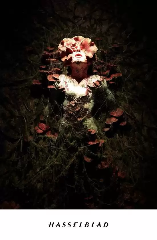 国美毕展画作被指抄袭 玩家一眼识破：这不循声者吗