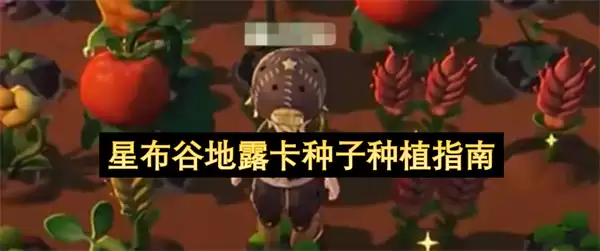 星布谷地露卡种子栽培指南