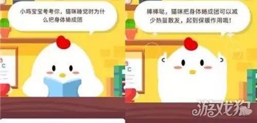 猫咪睡觉时为什么把身体蜷成团:蚂蚁庄园答案