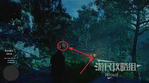 红色沙漠探索有哪些收集技巧