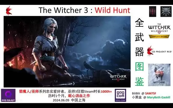 《巫师3狂猎》全武器图鉴汇总分享