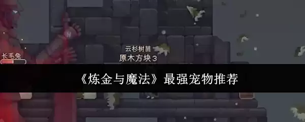 《炼金与魔法》最强宠物选择指南