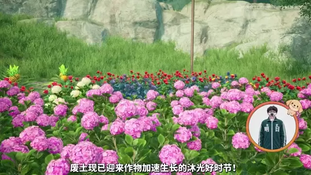 盛夏浴光翠色渐浓