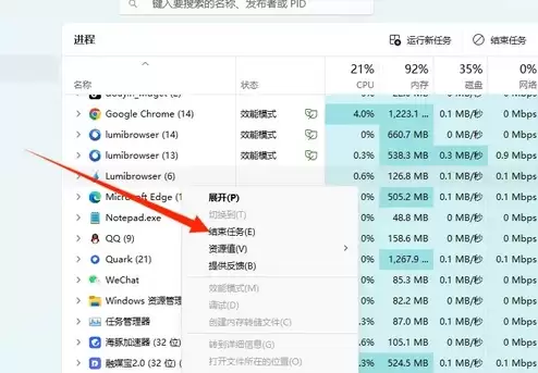 流放之路2无法写入新执行文档怎么办