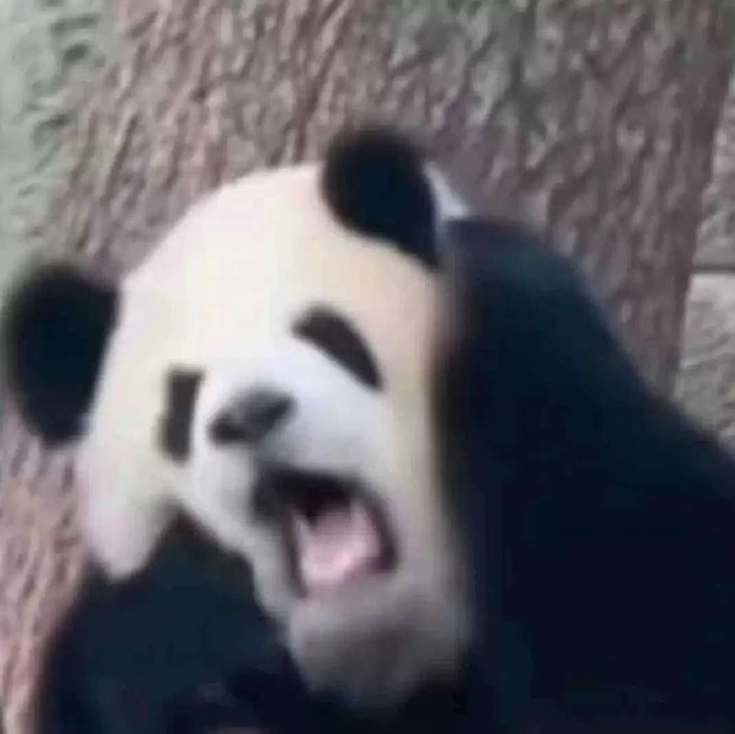 画狐配方分享-道宗炼蛊