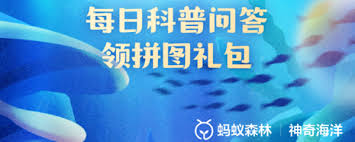 哪种海洋动物具有复杂社会结构