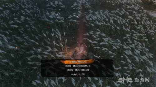 只狼樱龙之泪作用是什么 龙泪详细作用解析