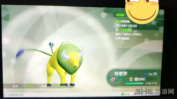 精灵宝可梦letsgo闪光肯泰罗捕捉方法 闪光肯泰罗怎么抓