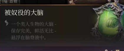 QQ截图20231011112352.png