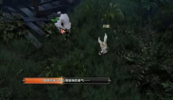 QQ截图20231013142822.png