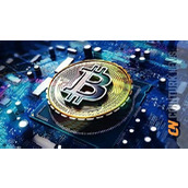 比特币生态爆款项目遵循着哪些规律？