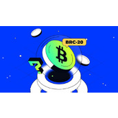 科普：什么是BRC-20和比特币Ordinals？