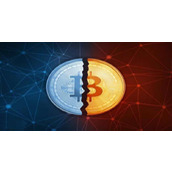 比特币减半对其他币的影响大吗？为什么？