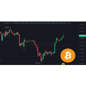 比特币市占率攀至近50%、越来越占主导地位！币价重返42000美元