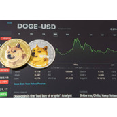 PEPE、BONK、SHIB等Meme大涨！Andrew Kang强调DOGE仍被低估