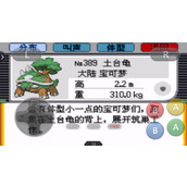 口袋妖怪:究极绿宝石土台龟配招一览