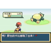 口袋妖怪火红一周目攻略图文详解(八)