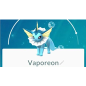 口袋妖怪go水精灵高输出技能搭配分享