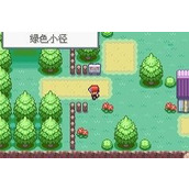 口袋妖怪火红二周目过关攻略(四)