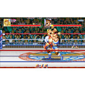 摔跤霸王全部人物必杀宏命令设置