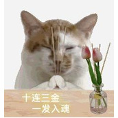 仓管再就业，重生之我在太空战场当奶妈