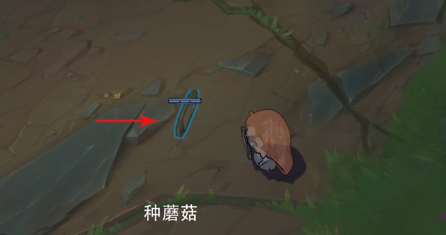 提莫小埋皮肤