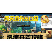 （忍者镇魂曲攻略）探索秘技与战术，解锁忍者的最高境界