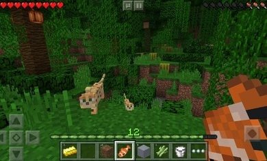 我的世界国际版1.16.21下载-我的世界手机版最新版下载