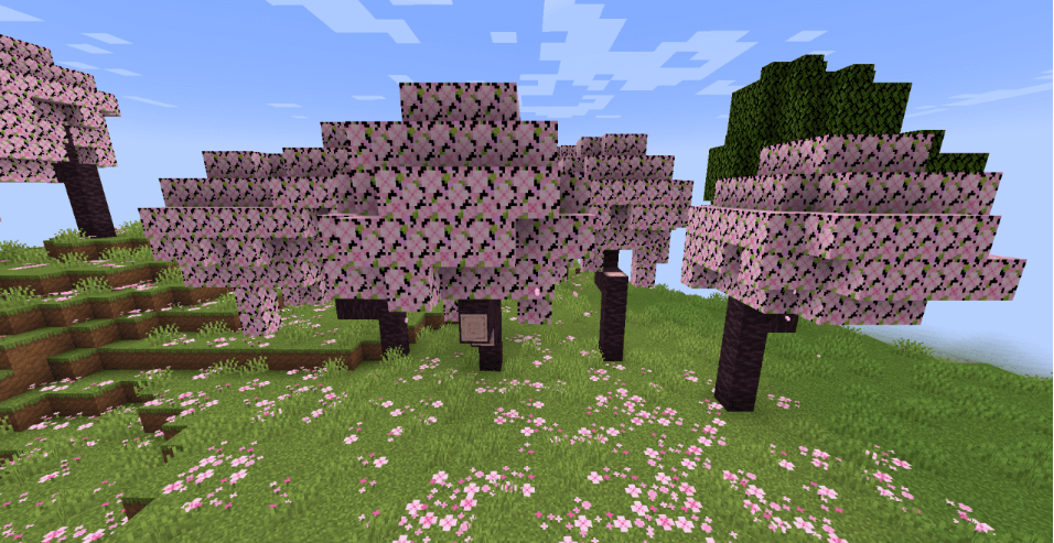 zad.PNG
