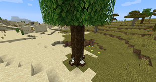 1641392151_257643_Eqji.png