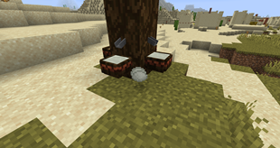 1641392202_257643_lYSp.png