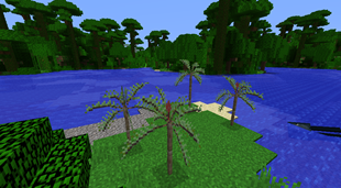 1632751393_292102_SWnn.png