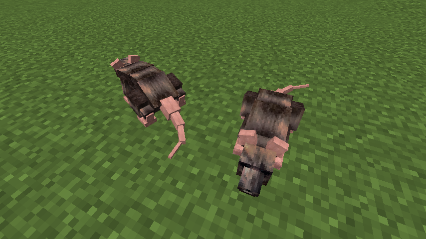 1615300162_73085_KaFe.png