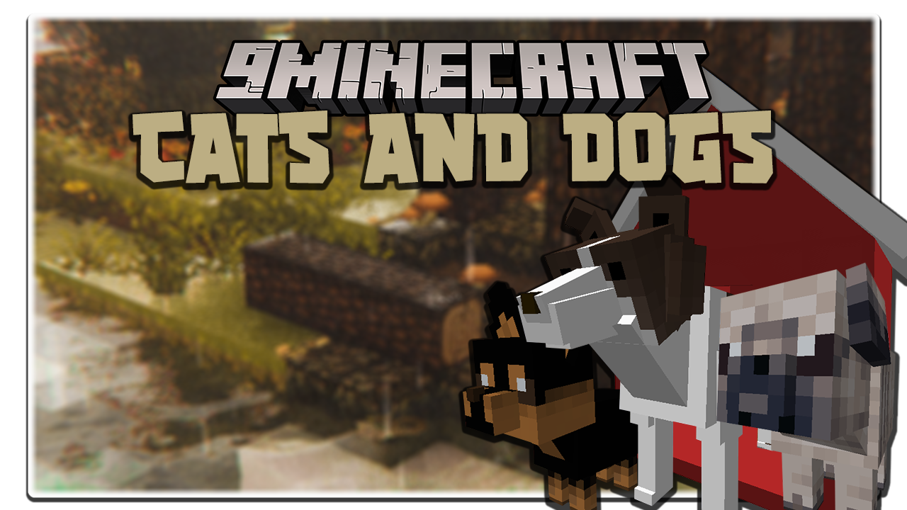 Cats-and-Dogs-Mod.png